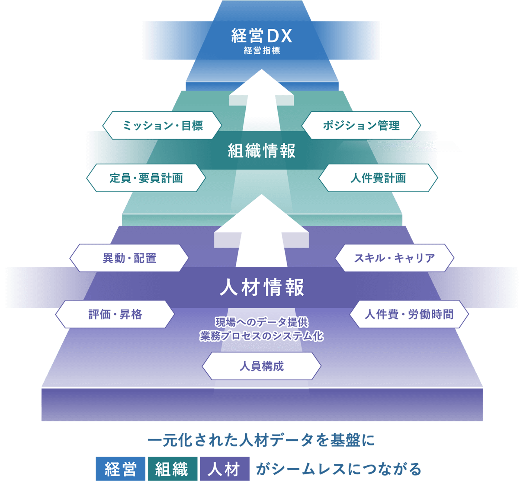 Rosic統合人材情報システムが目指す世界